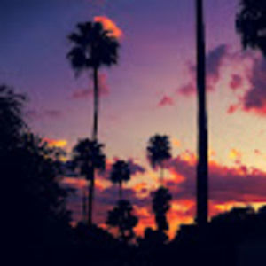 Meet your Posher, Nilda